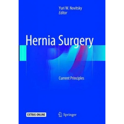 Hernia Surgery