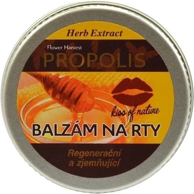 Vivaco Herb extrakt Ochranný balzám na rty Propolis herb extract 25 g – Zboží Dáma