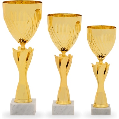 Sportovní poháry STANDARD 34013 3 46 cm