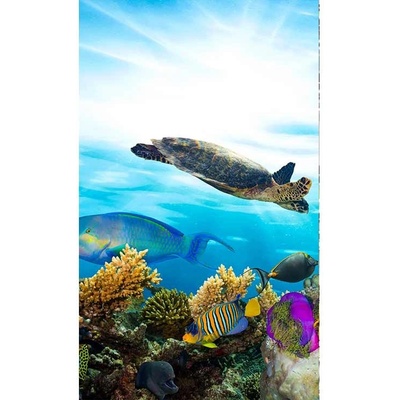 Dimex MS-2-0216 vliesová fototapeta rozměry 150 x 250 cm