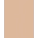 L'Oréal Paris True Match tekutý make-up 5.R 5.C Rose Sand 30 ml