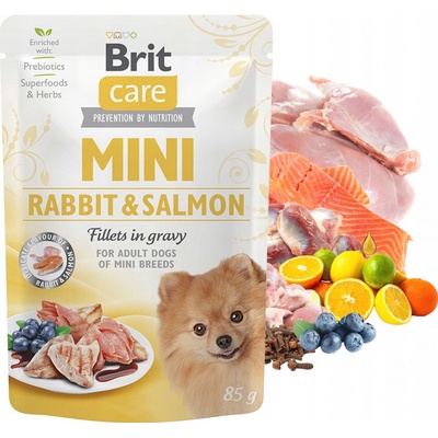Brit Care Mini Rabbit & Salmon 85 g