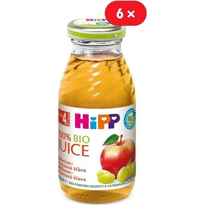 HiPP BIO Jablečno-hroznová 6 x 200 ml – Zboží Dáma