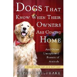 Dogs That Know When Their Owners Are Coming Home | Rupert Sheldrake (ISBN: 9780307885968)