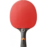 STIGA Royal 3-star wrb