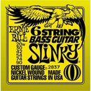 Ernie Ball 2837