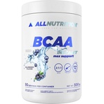 ALLNUTRITION BCAA Max Support | Instant [500 грама] Малина