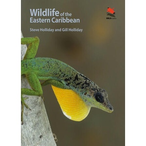 Wildlife of the Eastern Caribbean | Steve Holliday (ISBN: 9780691199818)