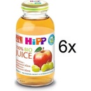 HiPP BIO Jablčno-hroznová šťava 6 x 200ml
