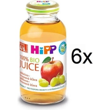 HiPP BIO Jablčno-hroznová šťava 6 x 200ml