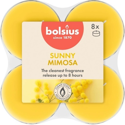 Bolsius Maxi True Scents Mimosa 8 ks