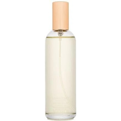 Nina Ricci L'Air du Temps (Refill) EDT 100 ml