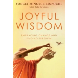 Joyful Wisdom | Yongey Mingyur Rinpoche (2010)