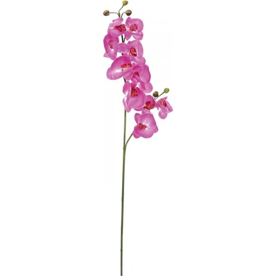 Orchidej větvička fialová, 100 cm