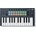 Novation FLkey Mini
