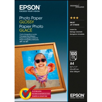Epson C13S045006