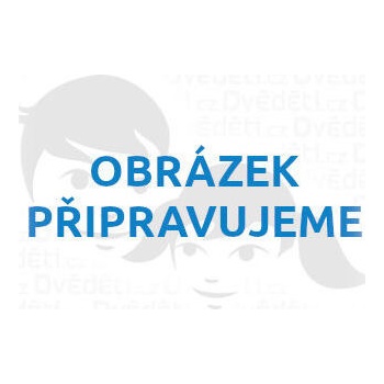 Bigjigs Toys drevené potraviny v prenosnej krabičke