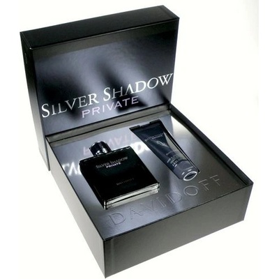 Davidoff Silver Shadow Private toaletná voda pánska 100 ml