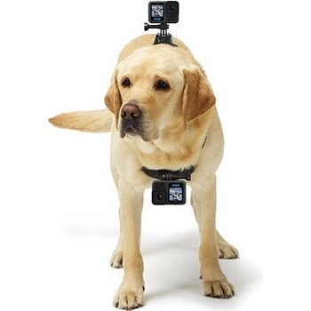 GoPro Fetch ADOGM-001