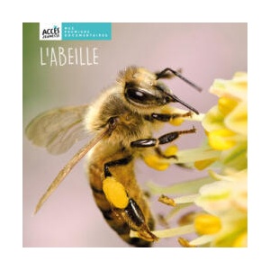 L'ABEILLE | SCHNEIDER (2023)