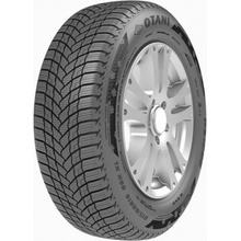 Otani WE1000 195/65 R15 91H