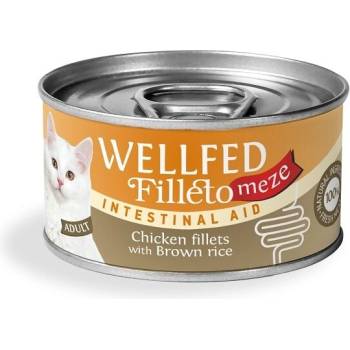 WELLFED Гурме за котки Wellfed Filleto Meze Intestinal Aid, 70 гр