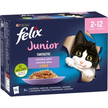 Felix Fantastic Junior kapsičky pro koťata hovězí kuře sardinky losos v želé 12 x 85 g