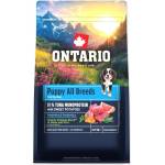 ONTARIO Puppy & Junior All Breeds Monoprotein Turkey & Sweet Potatoes 0, 75kg храна (214-13151)