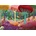ROOVI - Puzzle Magic Forest 1000 - Spring - 1 000 piese