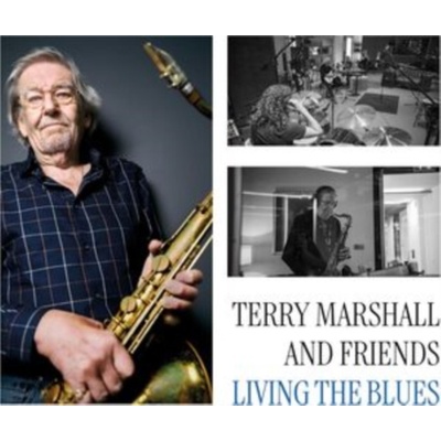 Living the Blues Terry Marshall and Friends 12 Album Vinyl