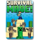 FARO Fleece deka Minecraft Survival mode