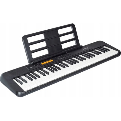Casio CT S100