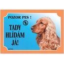 Dafiko Tabuľka koker anglický zlatý 1 ks