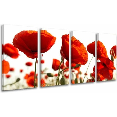 Obraz na stenu KVETY - 120x60