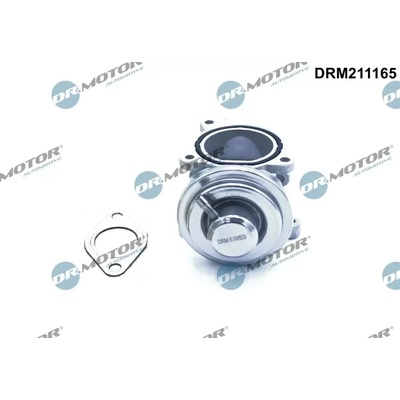 Dr.Motor Automotive AGR ventil DMA DRM211165