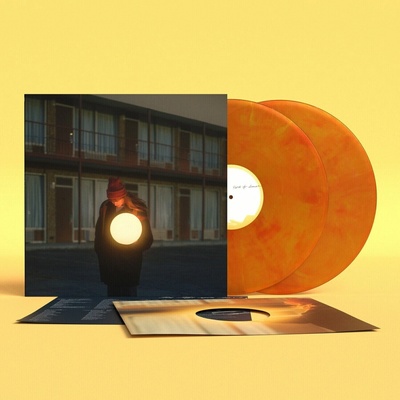 Flock Of Dimes - Life You Save Vinyl LP