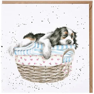 Wrendale Designs Přání Wrendale Designs "Wash, Dry, Fold ", 15x15 cm - Pes v prádle