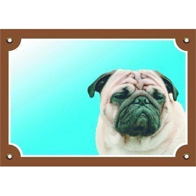 Plaček Tabulka Tady hlídám! Mops