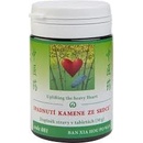 TCM Herbs Spadnutí kamene ze srdce 100 tablet