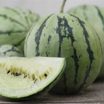 Vodný Melón Saskatchewan - Citrullus lanatus - semená melóna - 6 ks