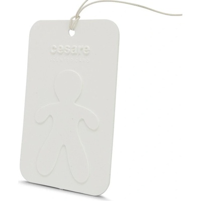 Mr&Mrs Fragrance Cesare Spray Fresh Air