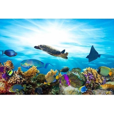 DIMEX ART Флизелинов фототапет риби в океана 375 x 250 см