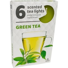 Admit Tea Lights Green Tea 6 ks