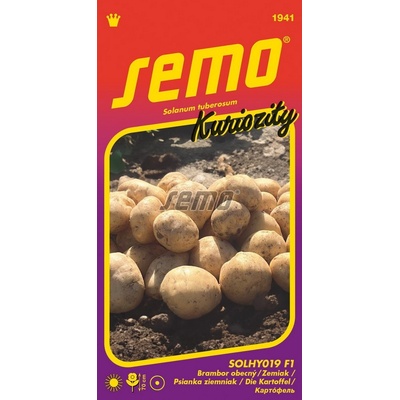 ZC BRAMBOR OBECNÝ - SOLHY019 F1