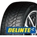 Osobné pneumatiky Delinte WD1 205/55 R16 91H