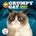 Grumpy Cat Wall 2026