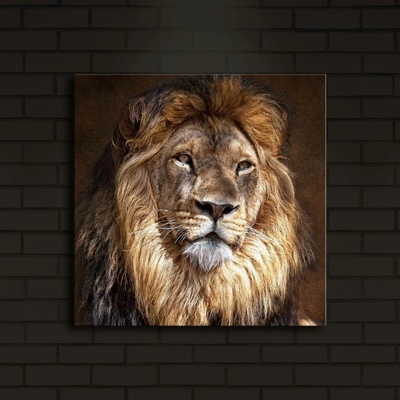 ASIR Nástěnný obraz s LED osvětlením LION