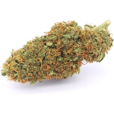 Zlaté CBD Odroda konope Orange Bud 20% CBD 0,2% THC 1 g