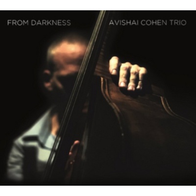 COHEN AVISHAI TRIO: FROM DARKNESS LP