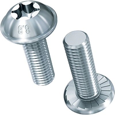 Šroub TORX půlkulatá hlava s ozubeným límcem ECOSYN-GRIP BN219 M10x30 8.8 ZB – Zboží Mobilmania